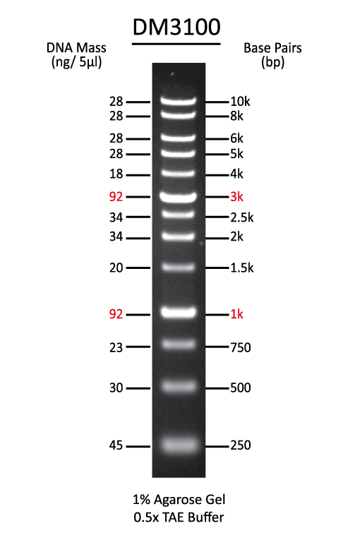 ExcelBand™ 1KB (0.25-10 kb) DNA Ladder, 500 μl