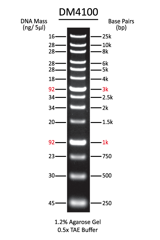 ExcelBand™ XL 25 kb DNA Ladder, Broad Range (up to 25 kb), 500 μl