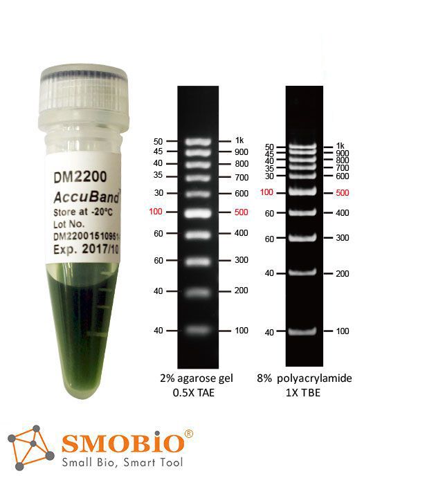 smobio
