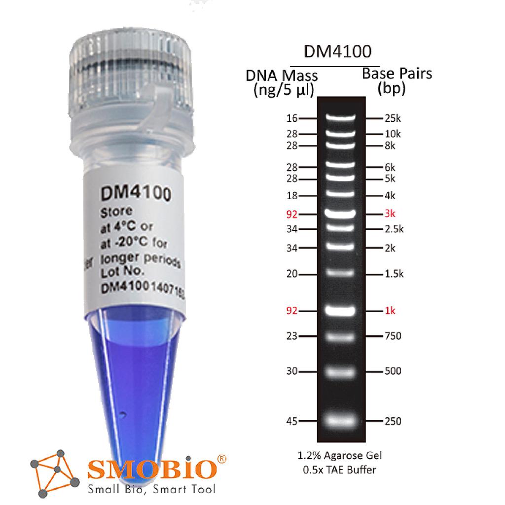 dm4100 excelband xl 25 kb dna ladder broad range