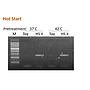 ExcelTaq™ Hot Start II DNA Polymerase (5 U/μl, 500 U)