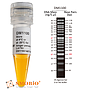 [DM1100] ExcelBand™ 50 bp DNA Ladder, 500 μl