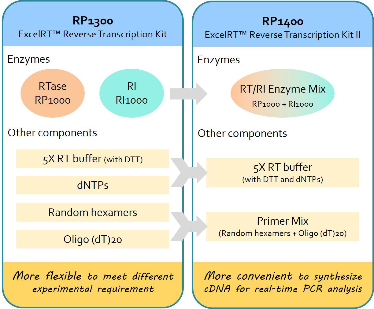 MMLV High Performance Reverse Transcriptase Kit