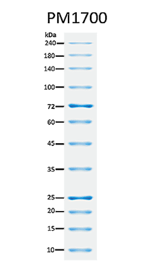 ExcelBand™ All Blue Broad Range Protein Marker, 250 μl x 2