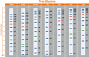 ExcelBand™ 3-color High Range Protein Marker, 250 μl x 2