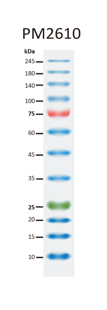 ExcelBand™ Enhanced 3-color High Range Protein Marker, 250 μl x 2