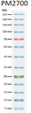ExcelBand™ 3-color Broad Range Protein Marker, 250 μl x 2