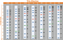 ExcelBand™ 3-color Broad Range Protein Marker, 250 μl x 2
