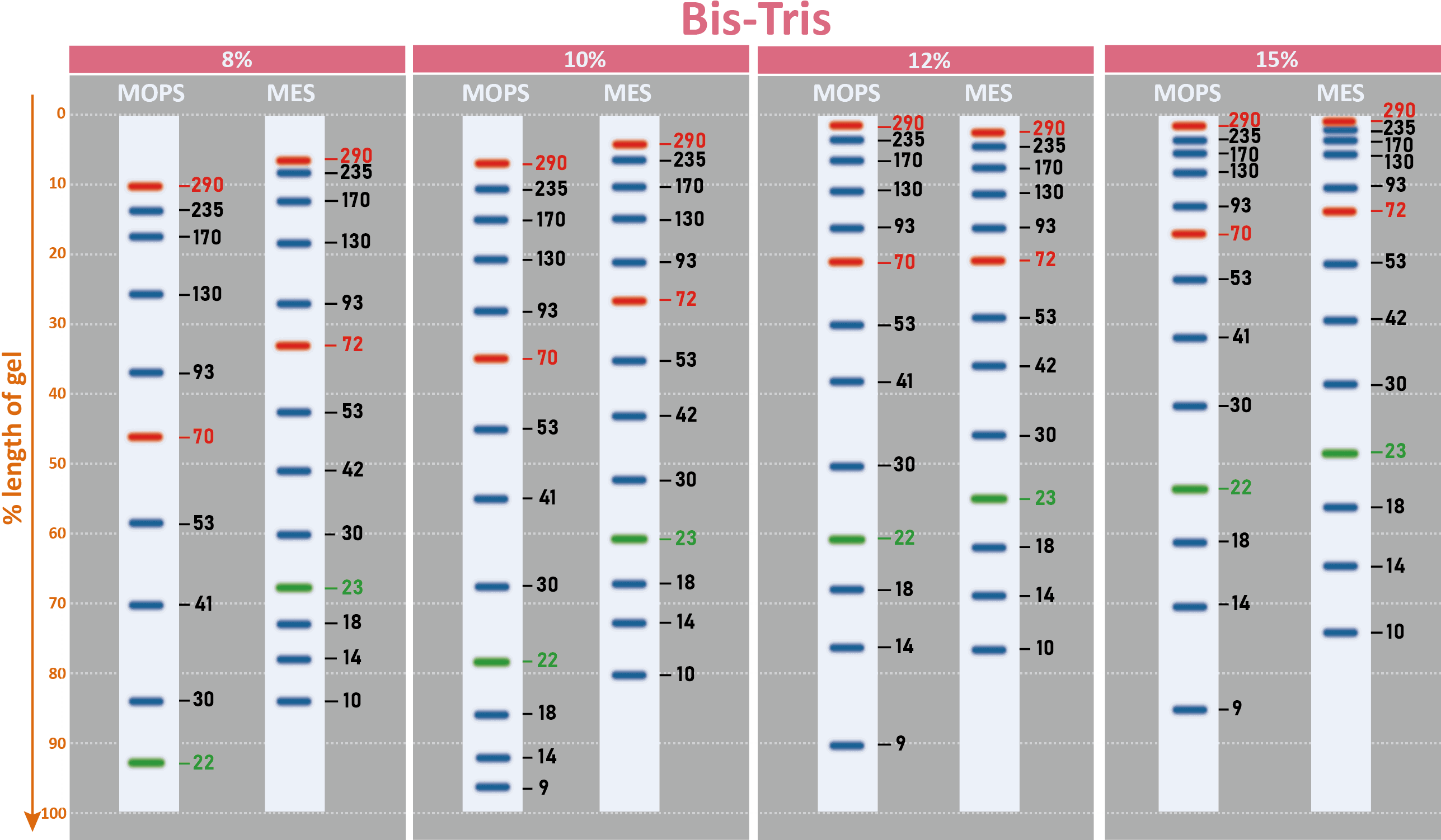 ExcelBand™ 3-color Extra Range Protein Marker, 250 μl x 2