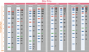 ExcelBand™ 3-color Extra Range Protein Marker, 250 μl x 2