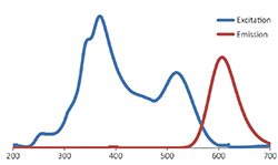 FluoroStain™ Protein Fluorescent Staining Dye (Red, 1,000X), 1 ml