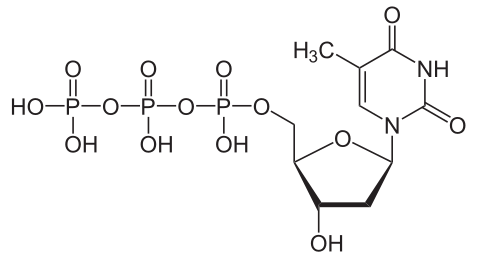 SMOChem™ dTTP solution - Sodium Salt (100 mM), 25 ml