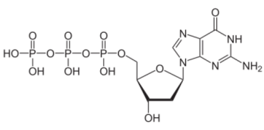 SMOChem™ dGTP Solution - Sodium Salt (100 mM), 25 ml