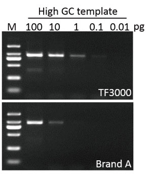 G-HiFi™ DNA Polymerase, (1 U/μl, 100 U)