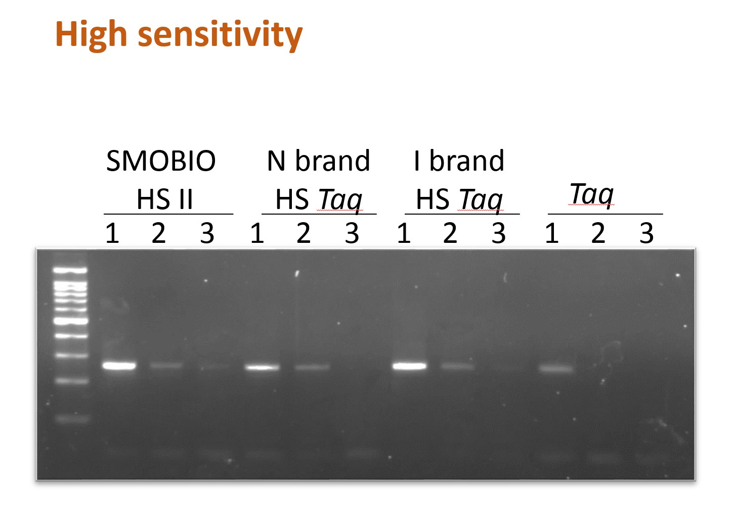 ExcelTaq™ Hot Start II DNA Polymerase (5 U/μl, 500 U)