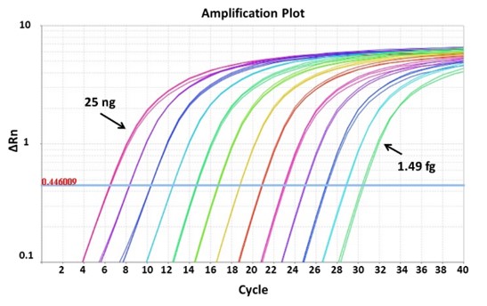 ExcelTaq™ 2X Q-PCR Master Mix (SYBR, ROX), 200 RXN