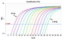 ExcelTaq™ 2X Q-PCR Master Mix (SYBR, ROX), 200 RXN
