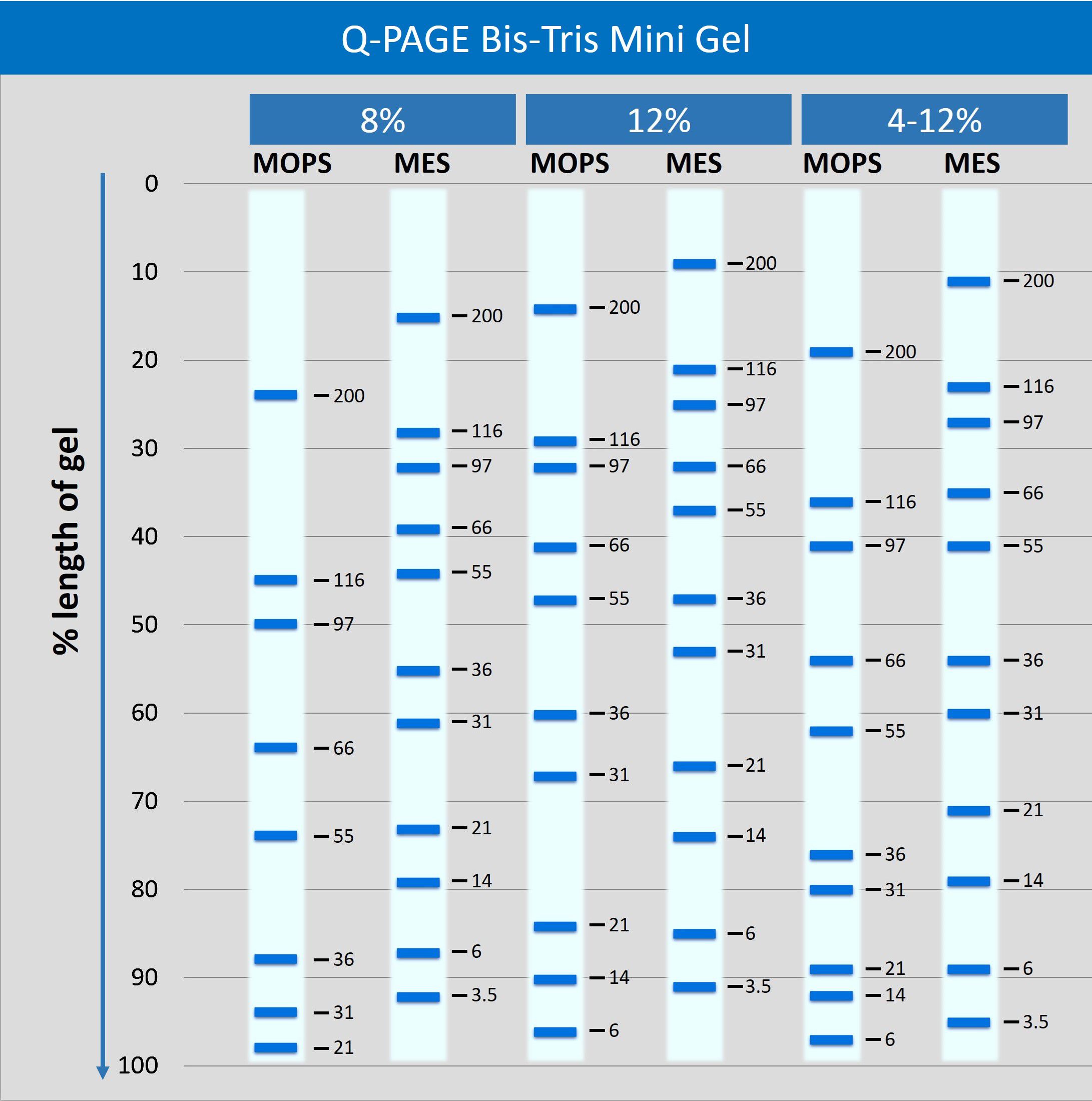 miniBT migration pattern