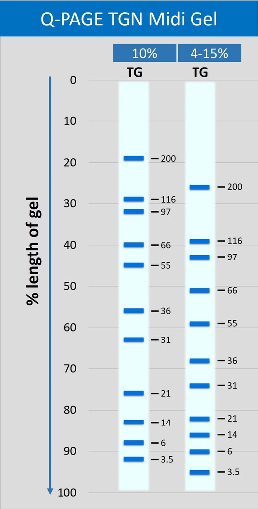 midiQPTG migration