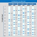 [QP2310] Q-PAGE™ Bis-Tris Precast Gel (Mini, 12 wells, 12%), 10 gels