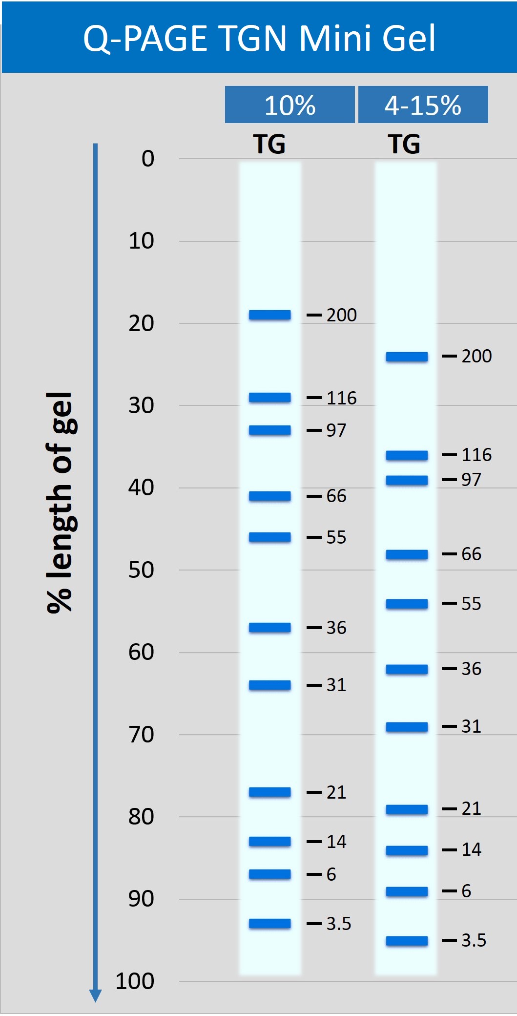 [QP4520] Q-PAGE™ TGN Precast Gel (Mini, 15 wells, 4-15%), 10 gels