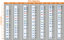 [PM5200] ExcelBand™ 3-color Pre-stained Protein Ladder, Broad Range (3.5-245 kDa), 250 μl x 2