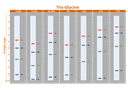 [WM1000] YesBlot™ Western Marker I, 250 μl