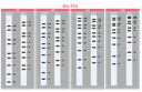 [WM1000] YesBlot™ Western Marker I, 250 μl