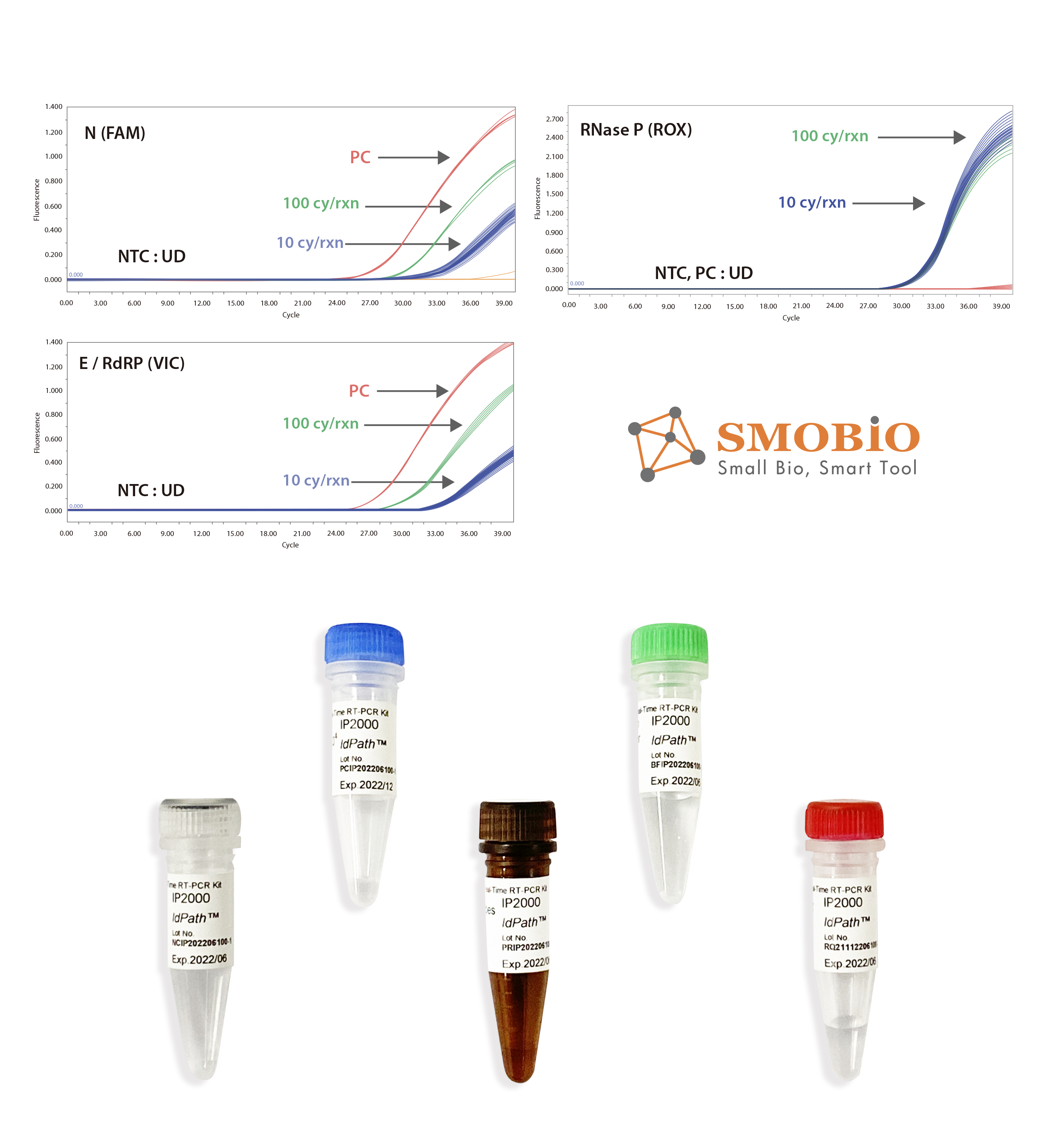 [IP2000] IdPath™ COVID-19 Real-Time RT-PCR Kit, 100 RXN