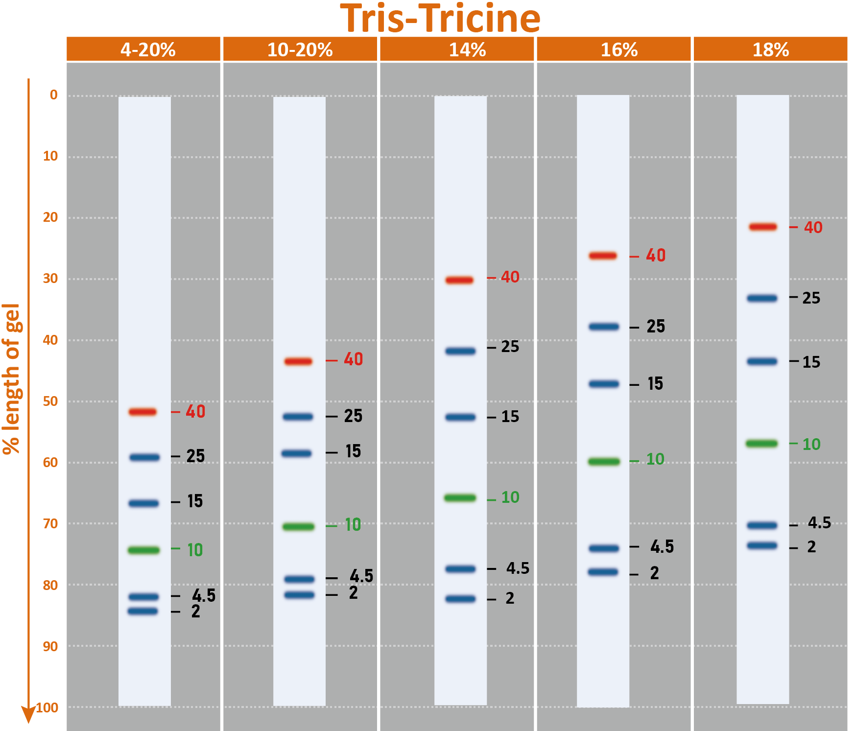 [PM6628] ProMetric™ TriColor Low Range Protein Ladder, 2 to 40 kDa, 250 μl