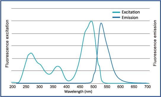 [DS1001] FluoroStain™ DNA Fluorescent Staining Dye (Green, 10,000X), 500 μl x 5 
