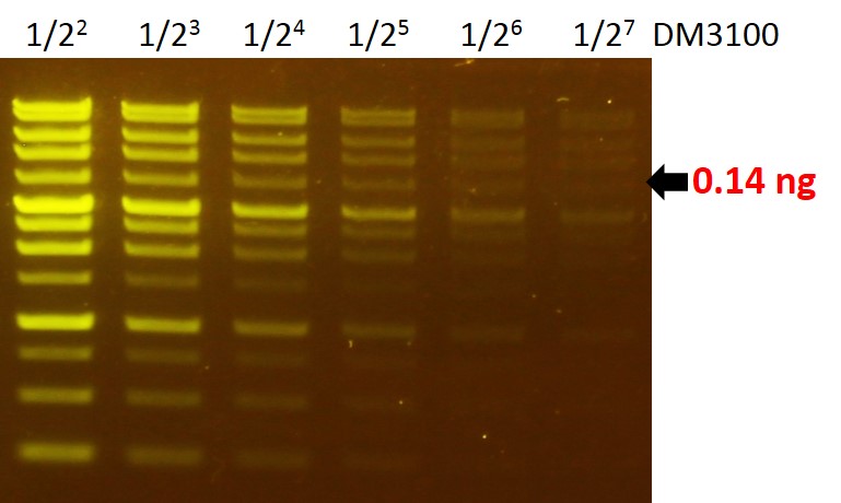 [NS1001] FluoroVue™ Nucleic Acid Gel Stain (10,000X), 500 μl x 5