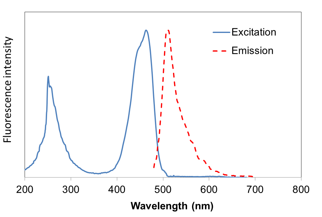 [NS1001] FluoroVue™ Nucleic Acid Gel Stain (10,000X), 500 μl x 5