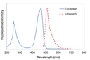 [NS1001] FluoroVue™ Nucleic Acid Gel Stain (10,000X), 500 μl x 5