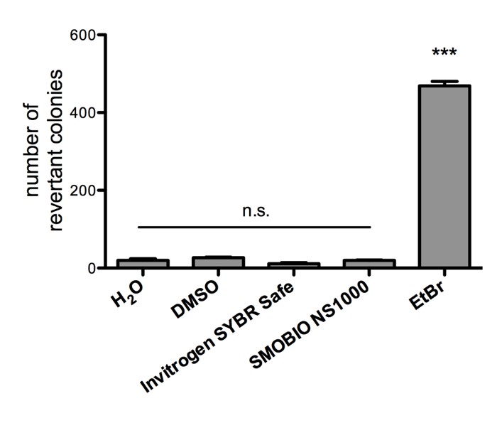 [NS1001] FluoroVue™ Nucleic Acid Gel Stain (10,000X), 500 μl x 5