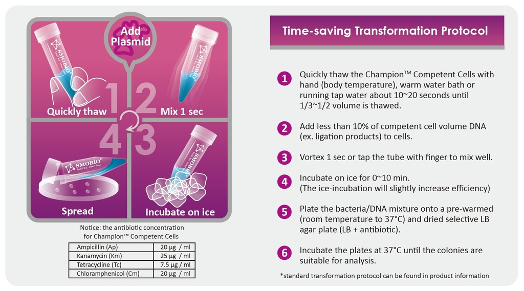 [CC2104] Champion™ 21, 24 tubes (Region Limited)