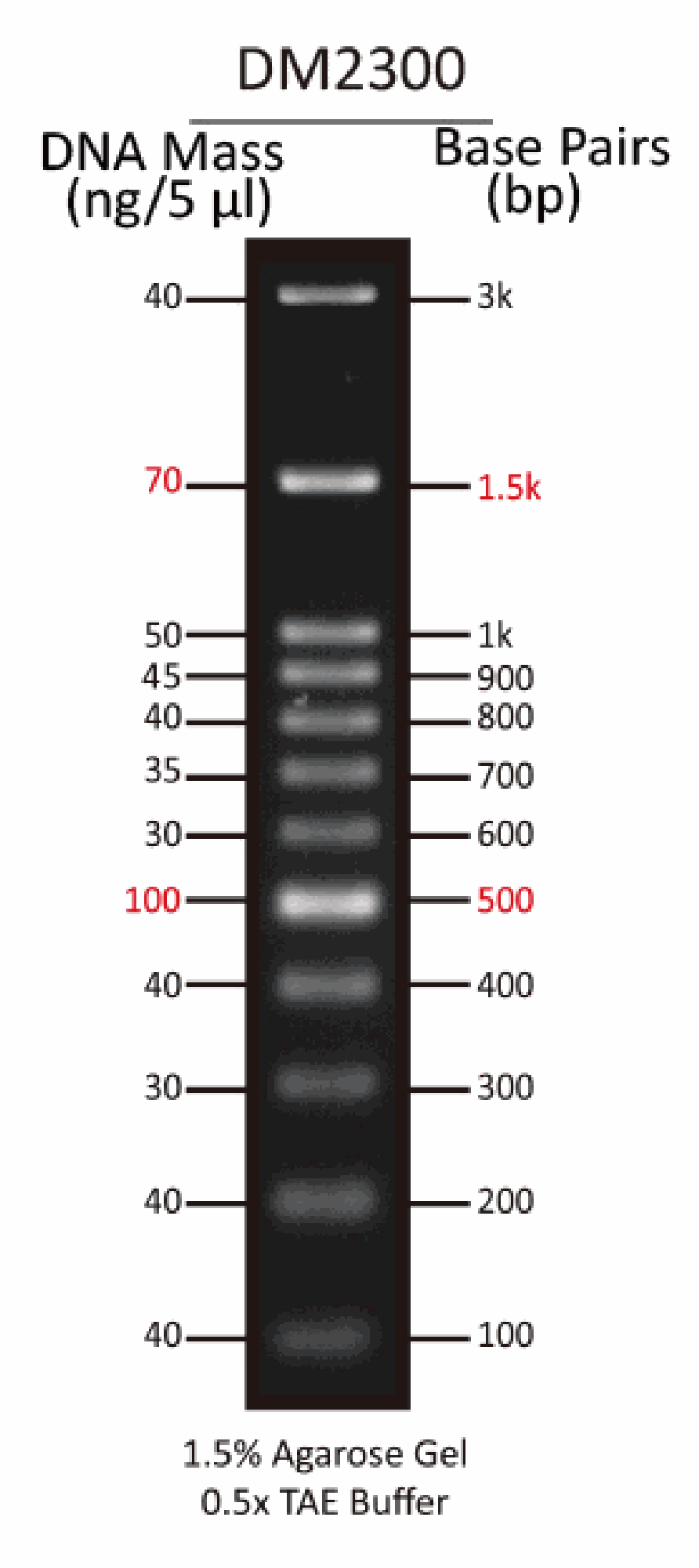 ExcelBand™ 100 bp+3K DNA Ladder, 500 μl