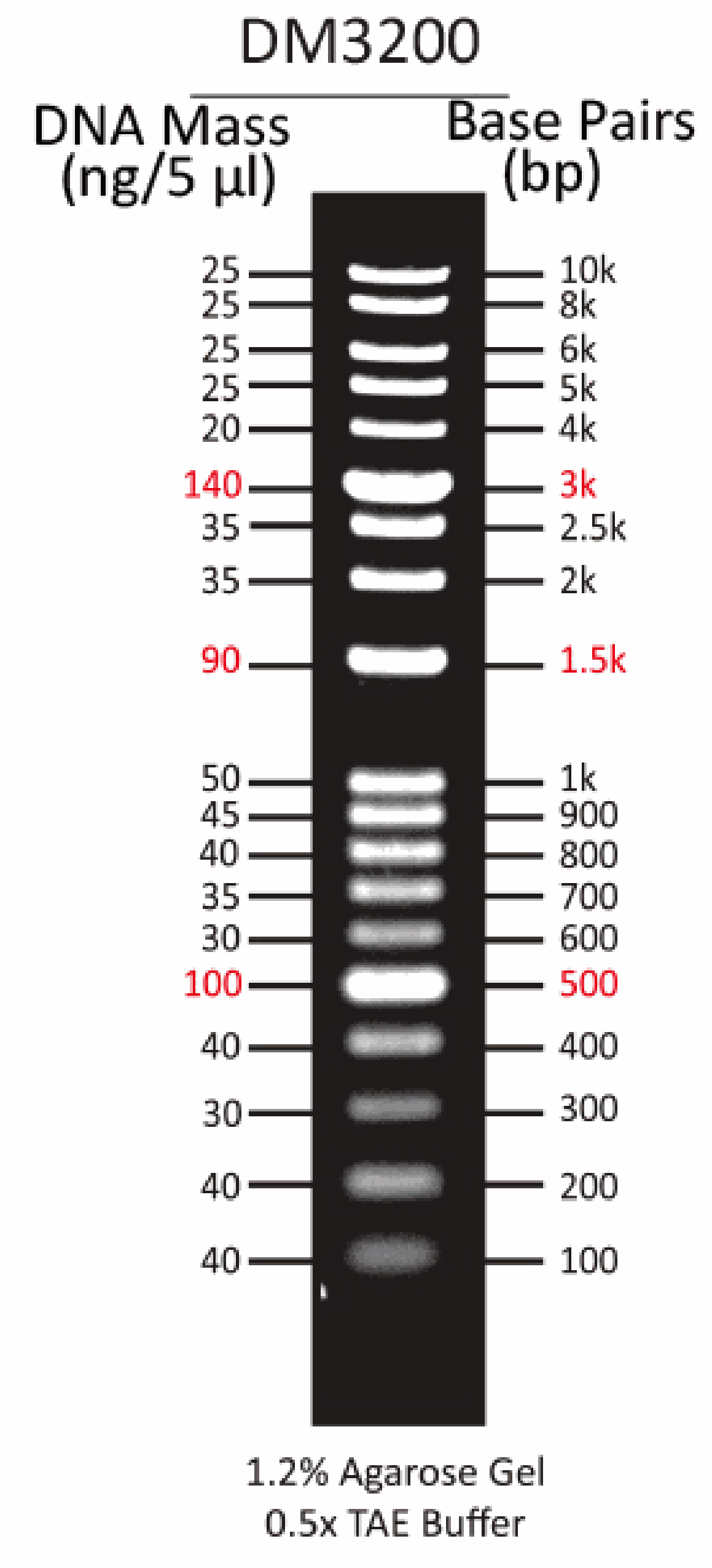 ExcelBand™ 1KB Plus (0.1-10 kb) DNA Ladder, 500 μl