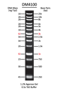 ExcelBand™ XL 25 kb DNA Ladder, Broad Range (up to 25 kb), 500 μl