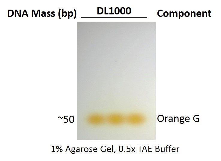ExcelDye™ 6X DNA Loading Dye, Orange, 5 ml x 2