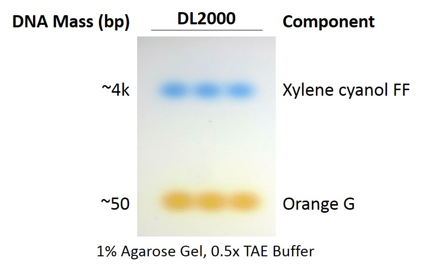 ExcelDye™ 6X DNA Loading Dye, Green, 5 ml x 2