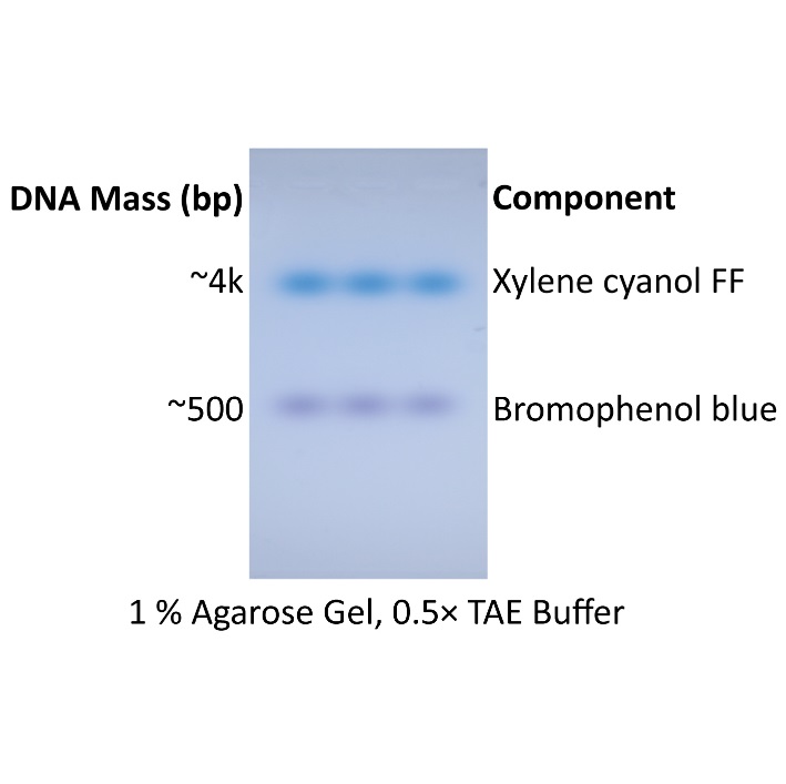 ExcelDye™ 6X DNA Loading Dye, Blue, 5 ml x 2