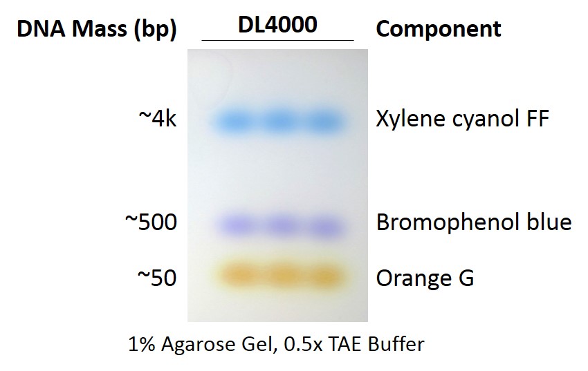 Dl4000 Exceldye 6x Dna Loading Dye