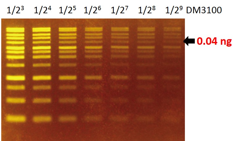 FluoroStain™ DNA Fluorescent Staining Dye (Green, 10,000X), 500 μl