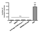 FluoroStain™ DNA Fluorescent Staining Dye (Green, 10,000X), 500 μl