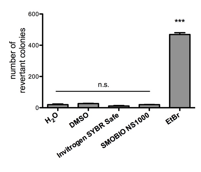 FluoroVue™ Nucleic Acid Gel Stain (10,000X), 500 μl