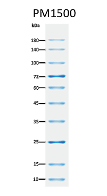 ExcelBand™ All Blue Regular Range Protein Marker, 250 μl x 2