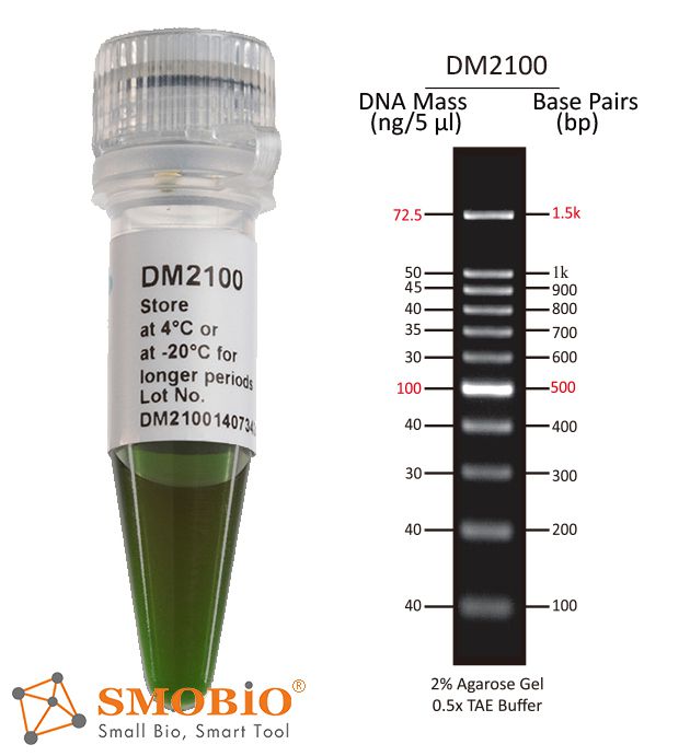 100 bp DNA Ladder for Agarose Gel ExcelBand DM2100