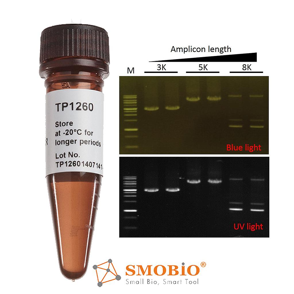 [TP1260] [TP1260] ExcelTaq™ 5X Fluorescent PCR Master Mix, 200 RXN