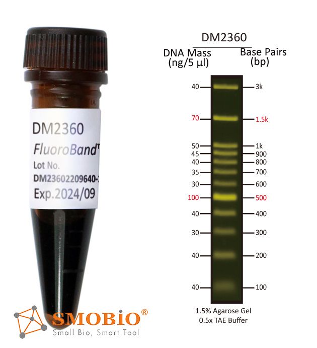 [DM2360] [DM2360] FluoroBand™ 100 bp+3K Fluorescent DNA Ladder, 500 μl